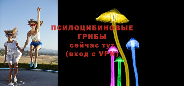 крисы Киренск