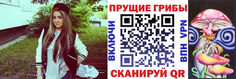Галлюциногенные грибы Cubensis  Купить где  Валуйки 